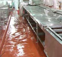 Food & Beverage Production Flooring