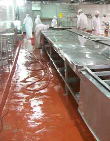 Food & Beverage Production Flooring